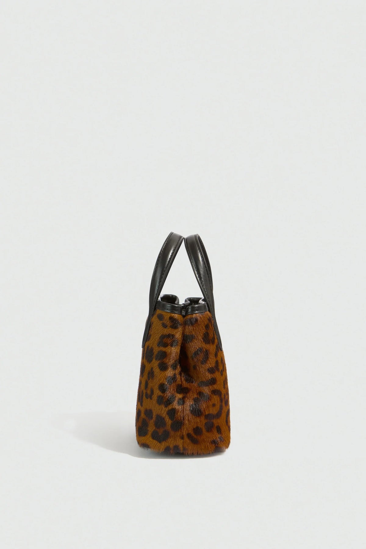 BAG AYALA